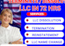 dissolve USA llc close ein llc reinstatement llc checklist